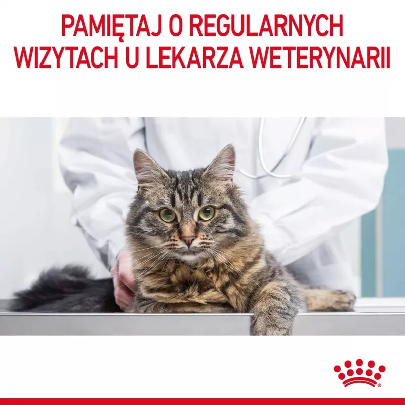 ROYAL CANIN Hair&Skin Care Adult - sausi kačių ėdalai - 400g