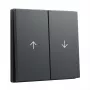 GIRA System 55 Wippe 2f Pfeil dengiamasis dangtelis, antracitas (329428)