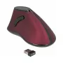 Pelė DeLOCK 12528 RF belaidė optinė 1000 DPI