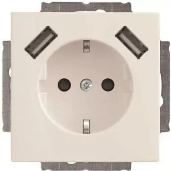 Busch-Jaeger SCHUKO-2x USB kištukinis lizdas 20 EUCB2USB-84 (2CKA002011A6273)