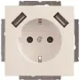 Busch-Jaeger SCHUKO-2x USB kištukinis lizdas 20 EUCB2USB-84 (2CKA002011A6273)