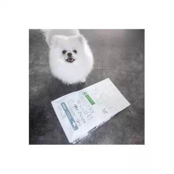 Nature’s Protection White Dogs GF White Fish Adult Small 4 kg – sausas šunų ėdalas be grūdų