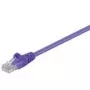 Wentronic 95222-GB Ethernet jungiamasis laidas