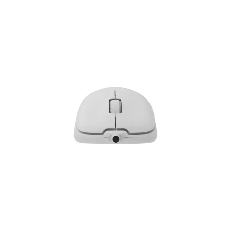 Pelinė White Shark GM-5014 Graphene White USB