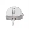 Pelytė White Shark GM-5016 Ector White USB