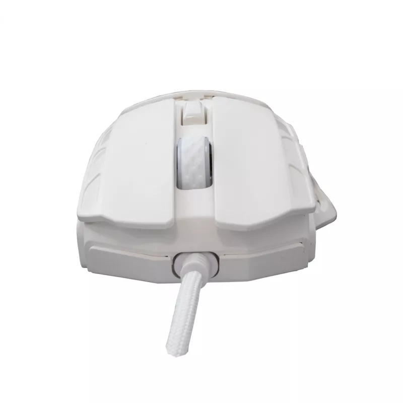Pelytė White Shark GM-5016 Ector White USB