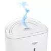 Adler AD 7971 ultragarsinis drėkintuvas | 30 W | 5 l talpa | 100-250 ml/val