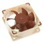 Kompiuterio ventiliatorius Noctua NF-A6X25 FLX 60 mm, 12 V, 1600–3000 RPM, 29,2 m³/h, 0,61 mmH2O, SSO2 guolis