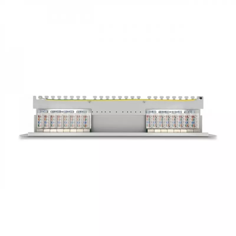 DeLOCK 19 colių Patch Panel 16 prievadų Cat.6A 1U pilkas Metalinis Stovas