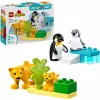 LEGO DUPLO 10442 Laukiniai gyvūnai: Pingvinai ir liūtai