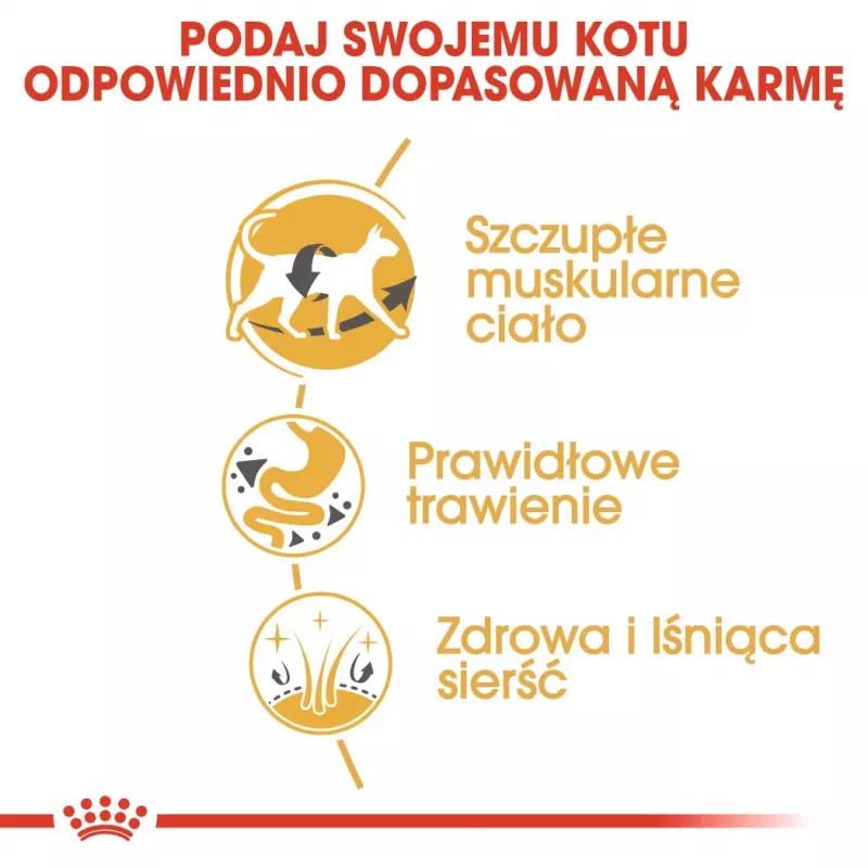 Sausas kačių ėdalas Royal Canin Siamese 2 kg – suaugusioms, paukštiena, baltymai 38%, riebalai 16%
