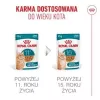 Šlapias kačių ėdalas Royal Canin FHN Ageing 11+ Gravy 12×85 g – senjorams skirti pilnaverčiai dubenėliai