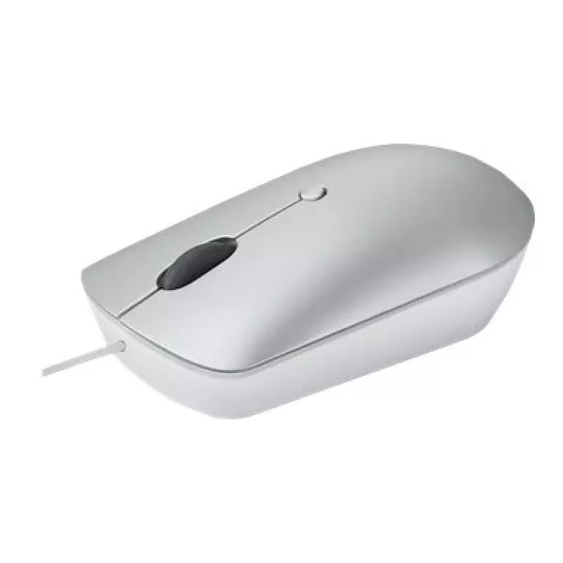 Laidinė optinė ambidekstrinė pelė Lenovo 540 USB Type-C, pilka, 4 mygtukai, 1,8 m laidas