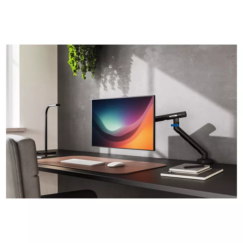 Monitorio laikiklis DIGITUS Single iki 35 colių ekranams, gnybtas, 10 kg, VESA 75x75–100x100, pakreipimas -45–90°