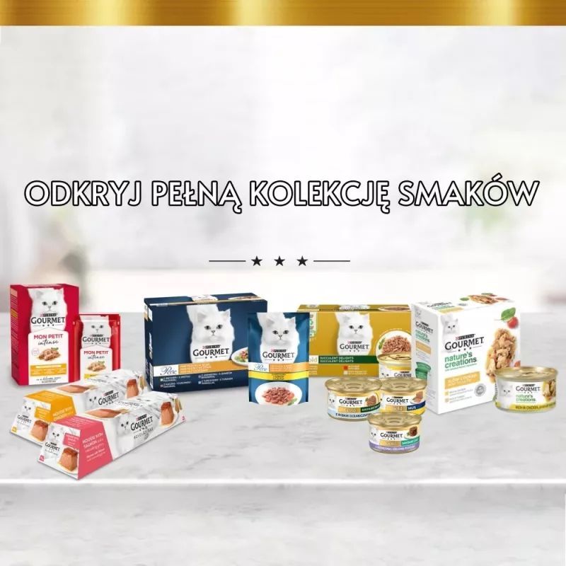 Šlapias kačių ėdalas Purina Nestlé Gourmet Revelations gabaliukai drebučiuose su lašiša 2x57 g, suaugusioms katėms, pilnavertis pašaras