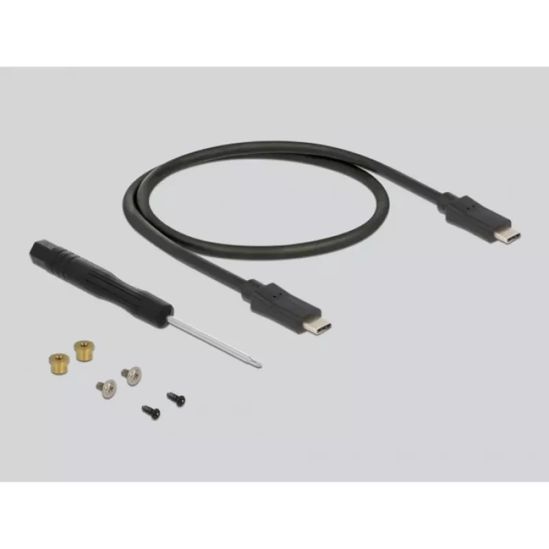 SSD korpusas DeLOCK 42003 išorinis M.2 SATA SSD su USB Type-C