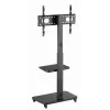 Gembird TVS-75S-02 TV grindinis stovas su ratukais, 37–75 col., juodas