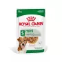 Šlapias šunų ėdalas Royal Canin Mini Ageing 12+ suaugusiems sėti 85 g – mažos veislės, paukštiena, senjorams