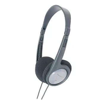 Ausinės Panasonic RP-HT090E
