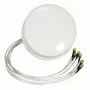 ALLNET antena HG2458-4SDC-RSP 2,4/5 GHz 4 dBi dviejų juostų erdvinio išdėstymo MIMO lubinė antena