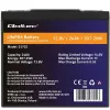Qoltec 53702 LiFePO4 ličio geležies fosfato baterija | 12,8V | 24Ah | 307,2Wh | BMS