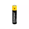 Intenso Energy Ultra AAA LR03 baterijų rinkinys 10 vnt. susitraukiančioje plėvelėje