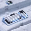 VGN V98 Pro žaidimų klaviatūra, Arctic Fox - riboto leidimo (JAV išdėstymas)