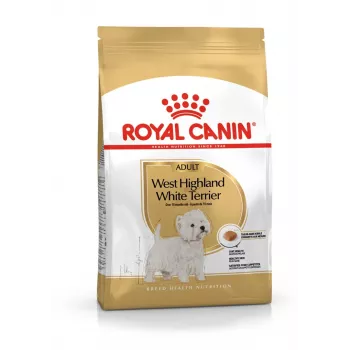 Royal Canin BHN West Highland White Terrier Adult - sausas ėdalas suaugusiems šunims - 3 kg