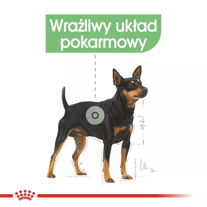 Sausas šunų ėdalas Royal Canin Mini Digestive Care 3 kg — mažos veislės, paukštiena, suaugę, virškinimo palaikymas