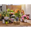 Gardena AquaBloom laistymo žarna 20 m juoda 13301-20