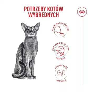 ROYAL CANIN Savour Exigent - sausas ėdalas katėms - 10kg