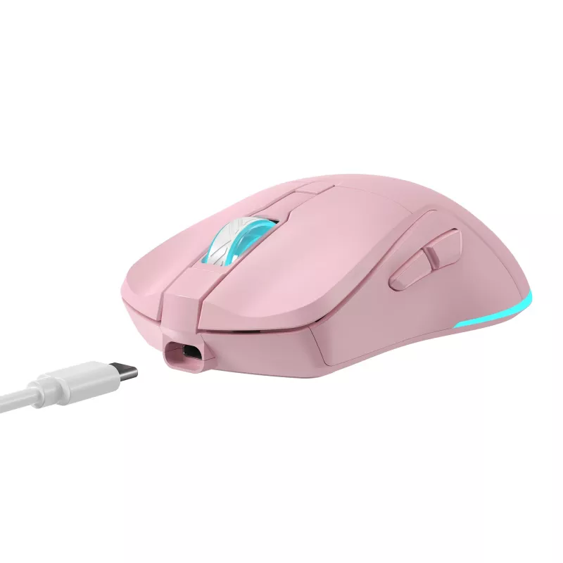 Belaidė pelė Baracuda BGM-124 Turtle Pink TURTLE-P