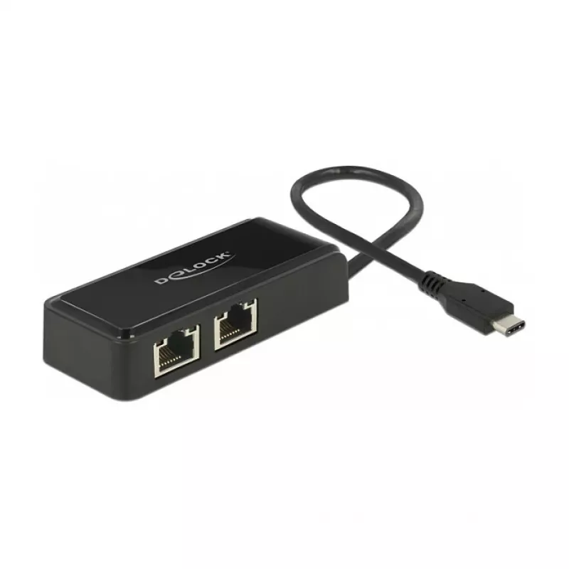 DeLOCK 63927 USB-C adapteris su 2x Gigabit LAN, juodas