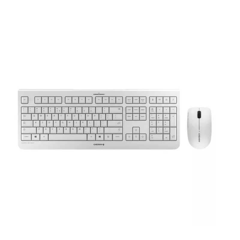 CHERRY DW 3000 belaidė klaviatūra su pele, RF, QWERTZ, pilka