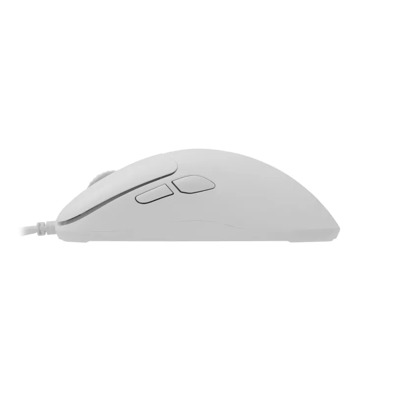Pelinė White Shark GM-5014 Graphene White USB