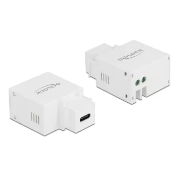 Keystone modulis USB Type-C įkrovimo prievadas DeLOCK 87792