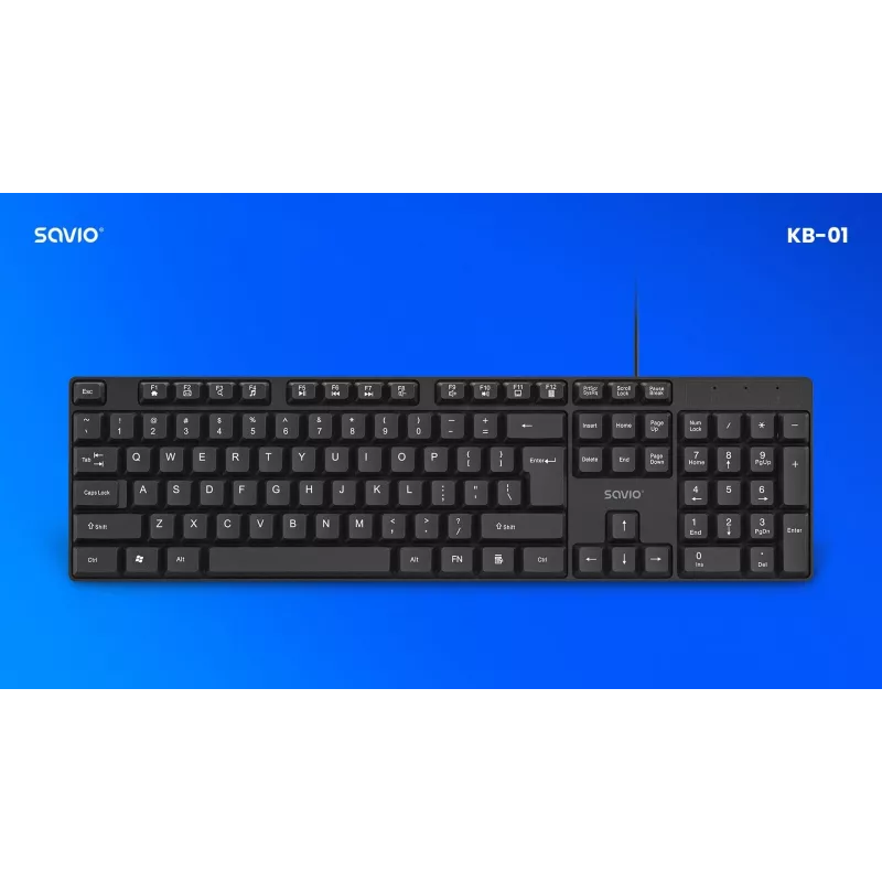 Savio KB-01 klaviatūra Home/Office USB QWERTY US English juoda
