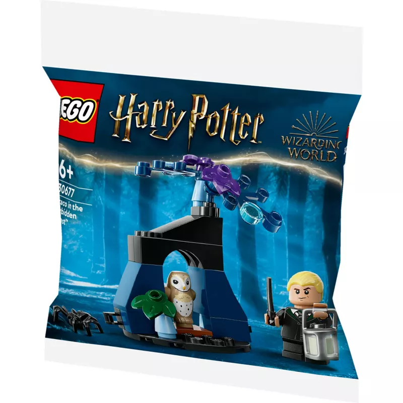 LEGO Harry Potter rinkinys 30677 – Drakas Uždraustajame miške minifigūrėlės scena