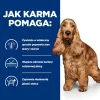 HILL's Prescription Diet Food Sensitivites z/d - sausas šunų ėdalas - 10 kg