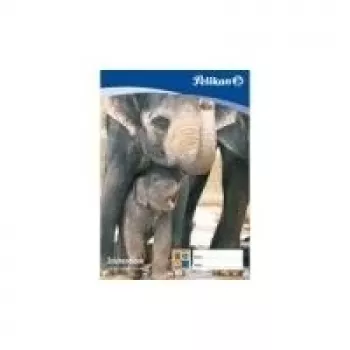 Pelikan Zeichenblock C 2-10, DIN A2, 100 g/kv.m, 10 lapų, nebalintas chloru, perforuotas (137604)