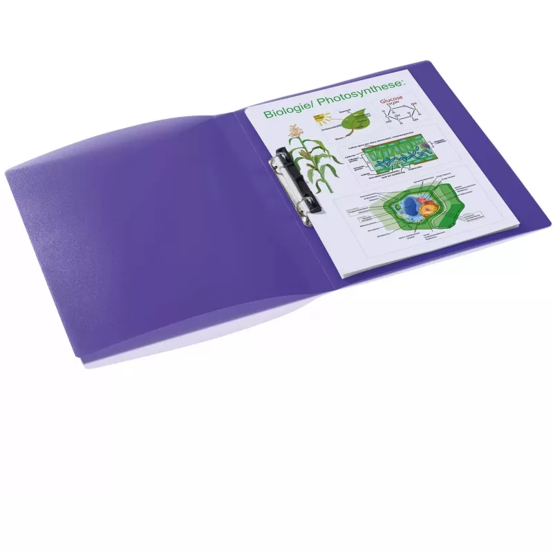 Segtuvas HERMA 19183 A4 Violetinis