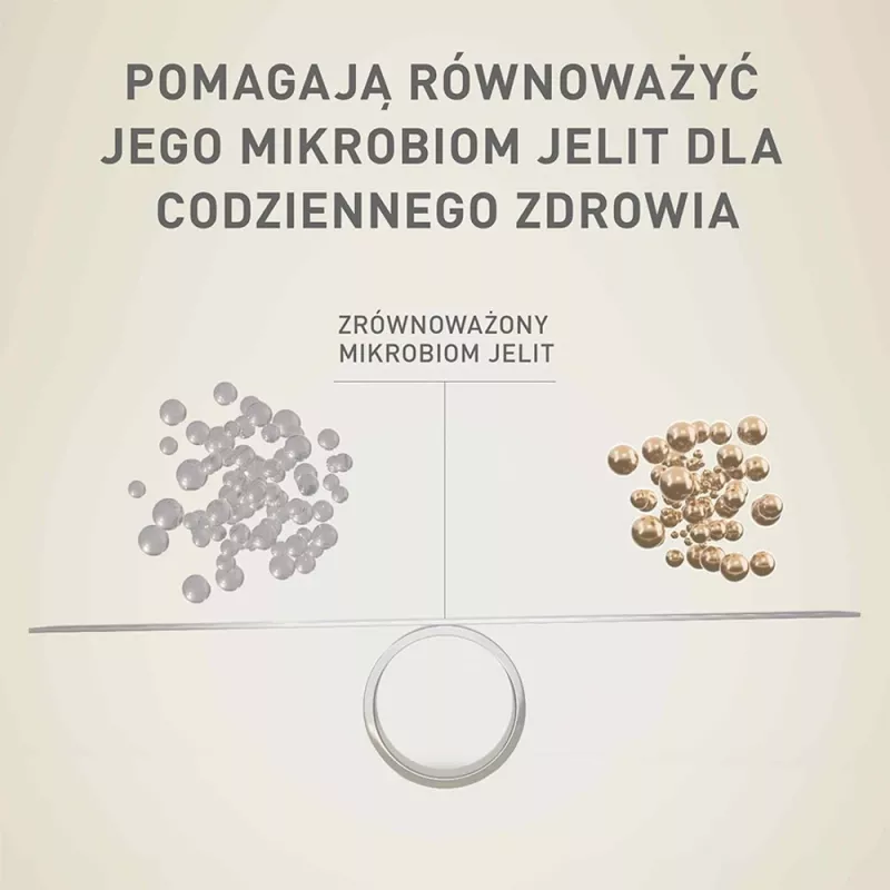 Sausas šunų ėdalas Purina Nestle Mini Adult Jautiena su Ryžiais 800 g