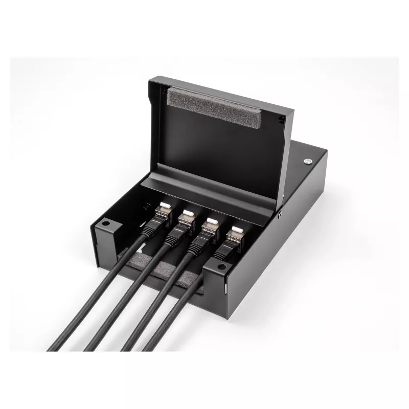 Paskirstymo dėžutė DeLOCK 66235 4 prievadai Metalinė Juoda