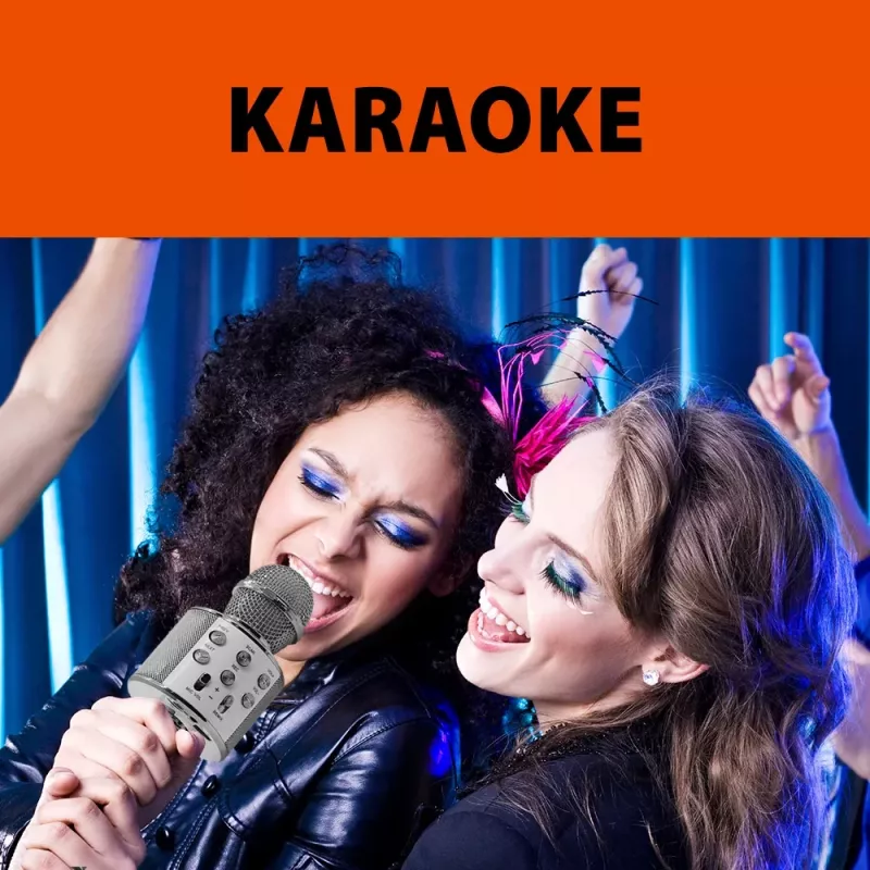 Manta MIC20-GL Gold belaidis karaoke mikrofonas su garsiakalbiu