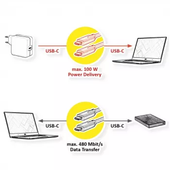 USB laidas VALUE 11.99.8310 3 m USB C juodas USB 2.0
