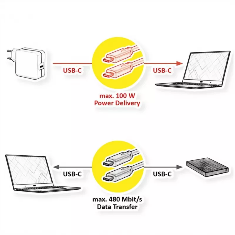 USB laidas VALUE 11.99.8310 3 m USB C juodas USB 2.0