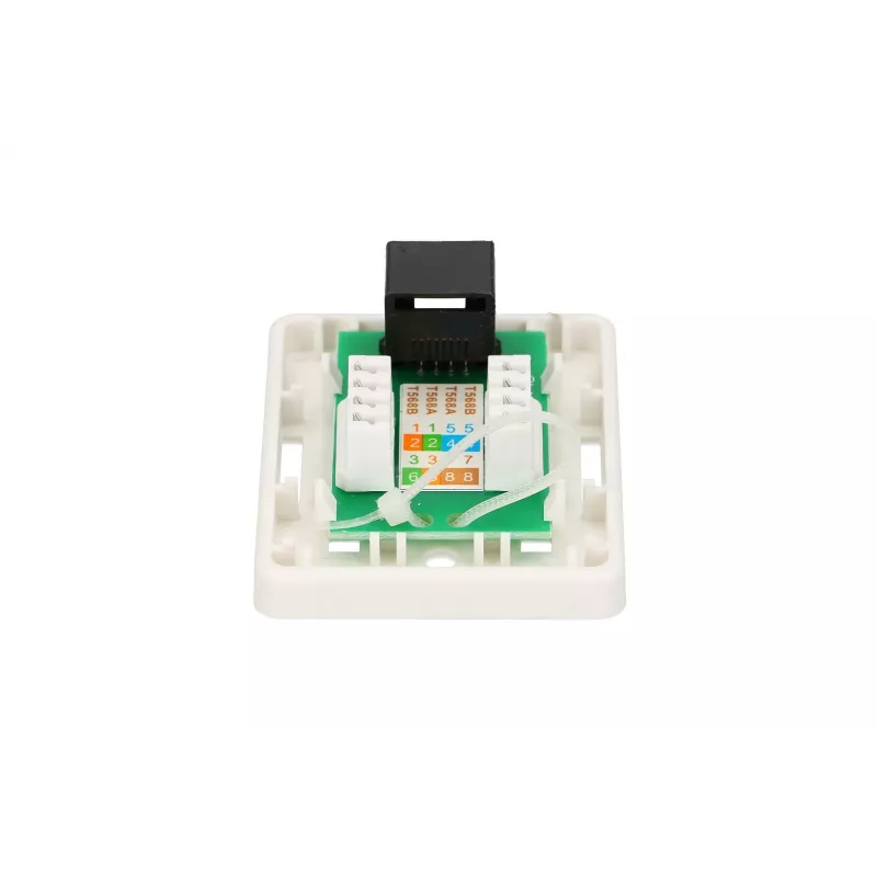 Extralink lizdas montuoti ant sienos, 1x RJ45 CAT5E UTP