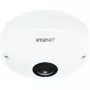 IP apsaugos kamera Hanwha QNF-8010 Dome 2048 x 2048 pikseliai