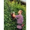 Diržas akumuliatoriams Einhell GE-PB 36/18 Li Power X-Change juodas
