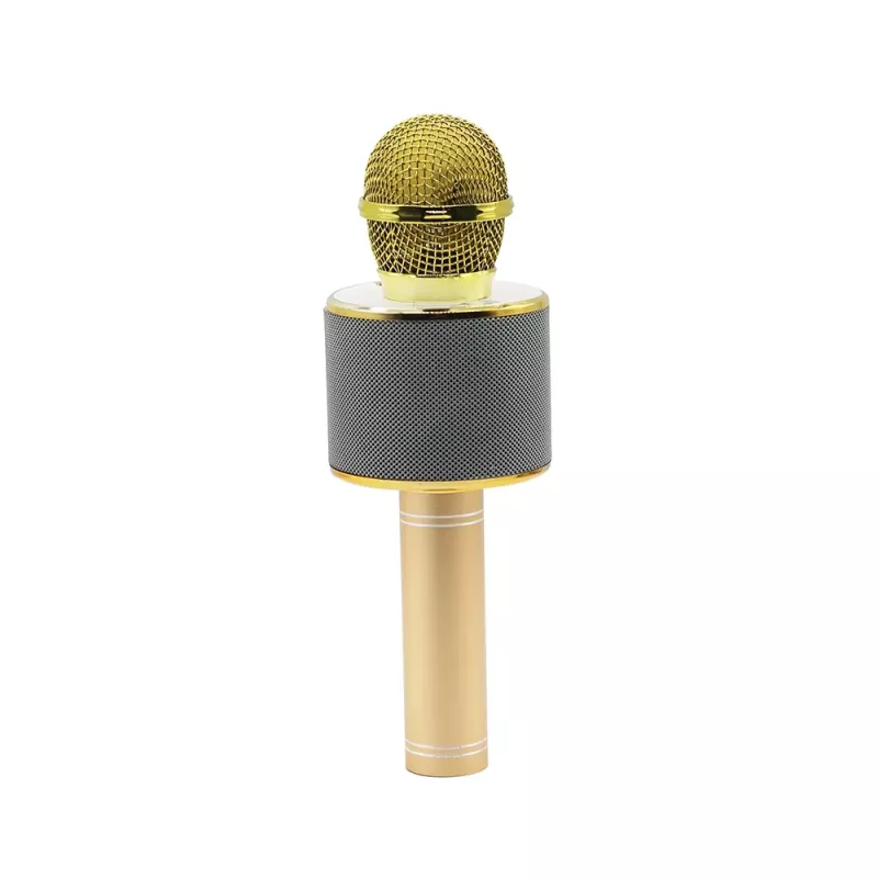 Mikrofonas MANTA MIC10-G auksinis kardioidinis nešiojamas